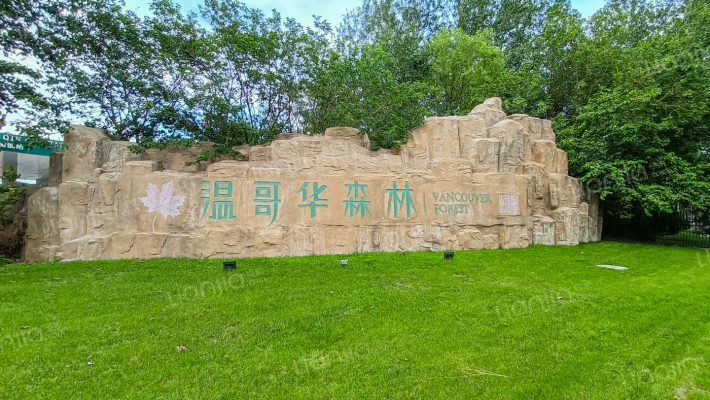 温哥华森林外景图