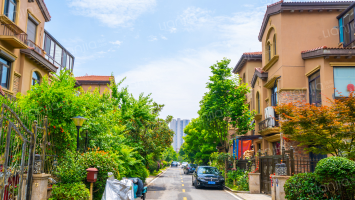 碧桂园凤凰城翡翠岛C区外景图