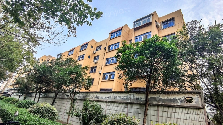 泺安路10外景图