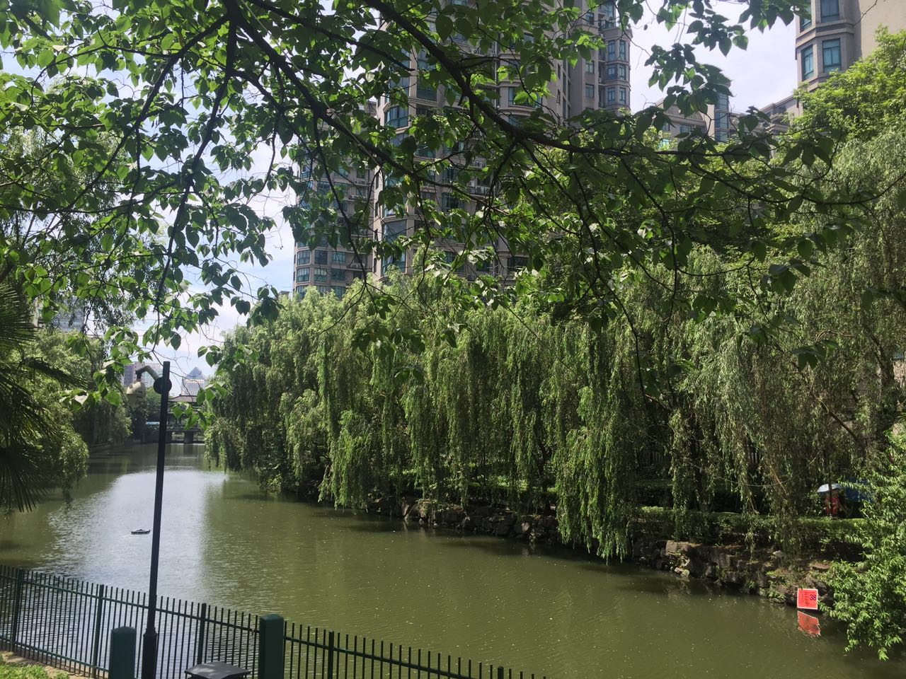 浅水湾城市花园小区实景 48