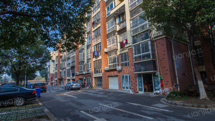 金菀花园外景图