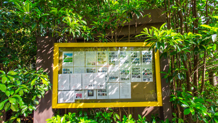 朗诗绿色街区外景图