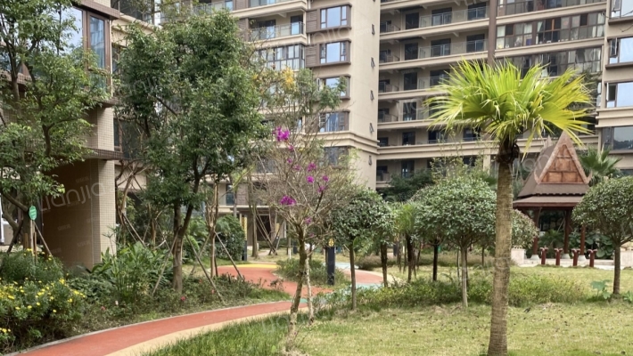 新希望东原锦官印悦外景图