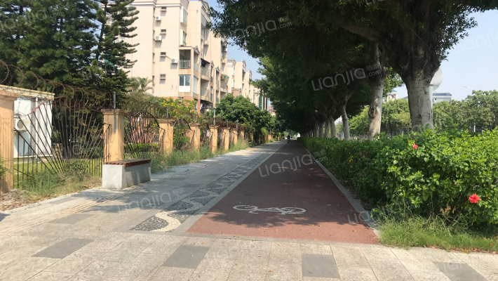 逸涛雅苑外景图