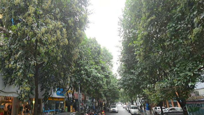 蜀营街55号外景图