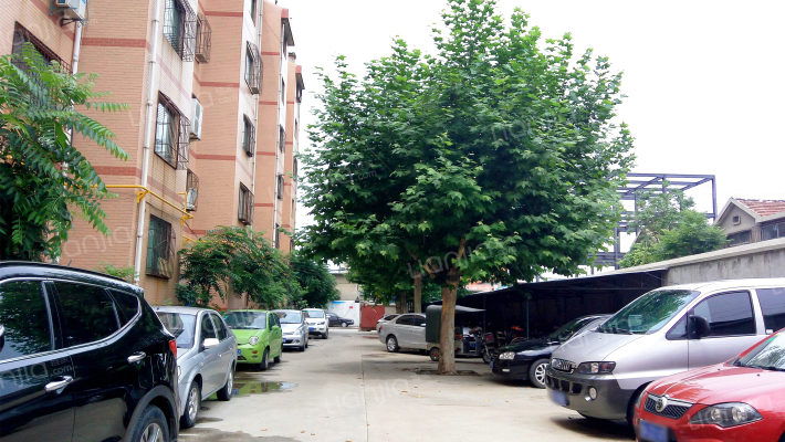 泺口街道办事处宿舍外景图