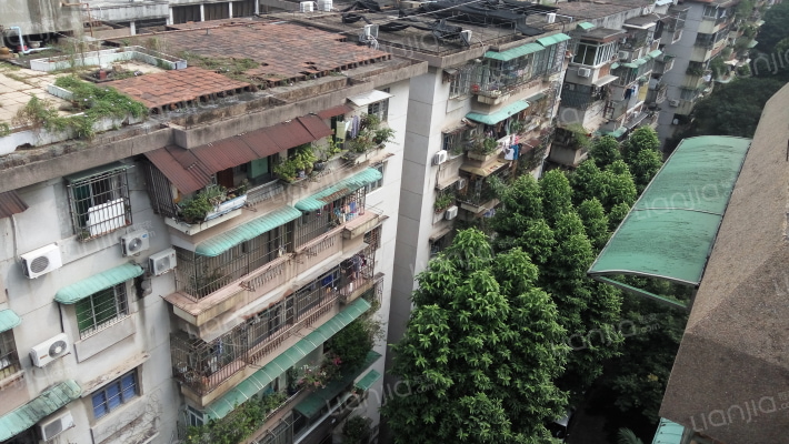 体委大院外景图