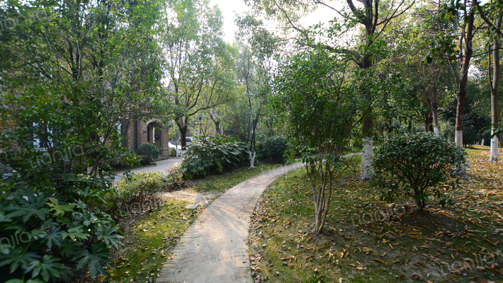 绿地梧桐院(别墅)外景图