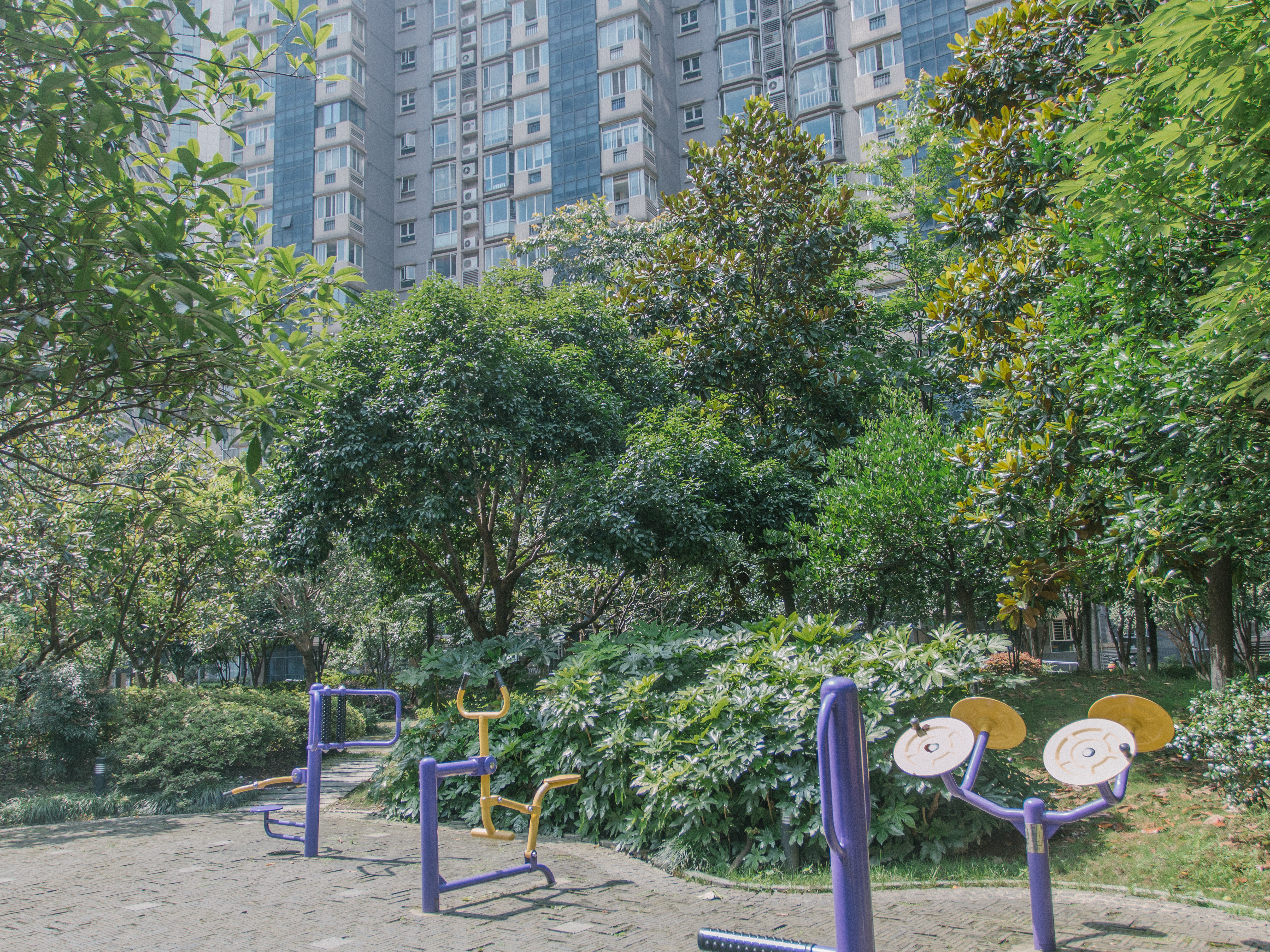 现代名苑小区实景 21
