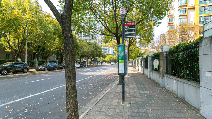 大唐盛世花园(三期)外景图