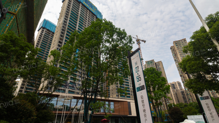 越秀悦湖台外景图