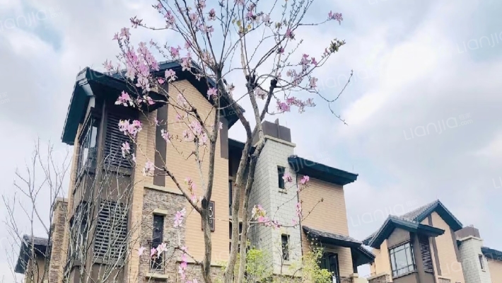 保利桃花源外景图