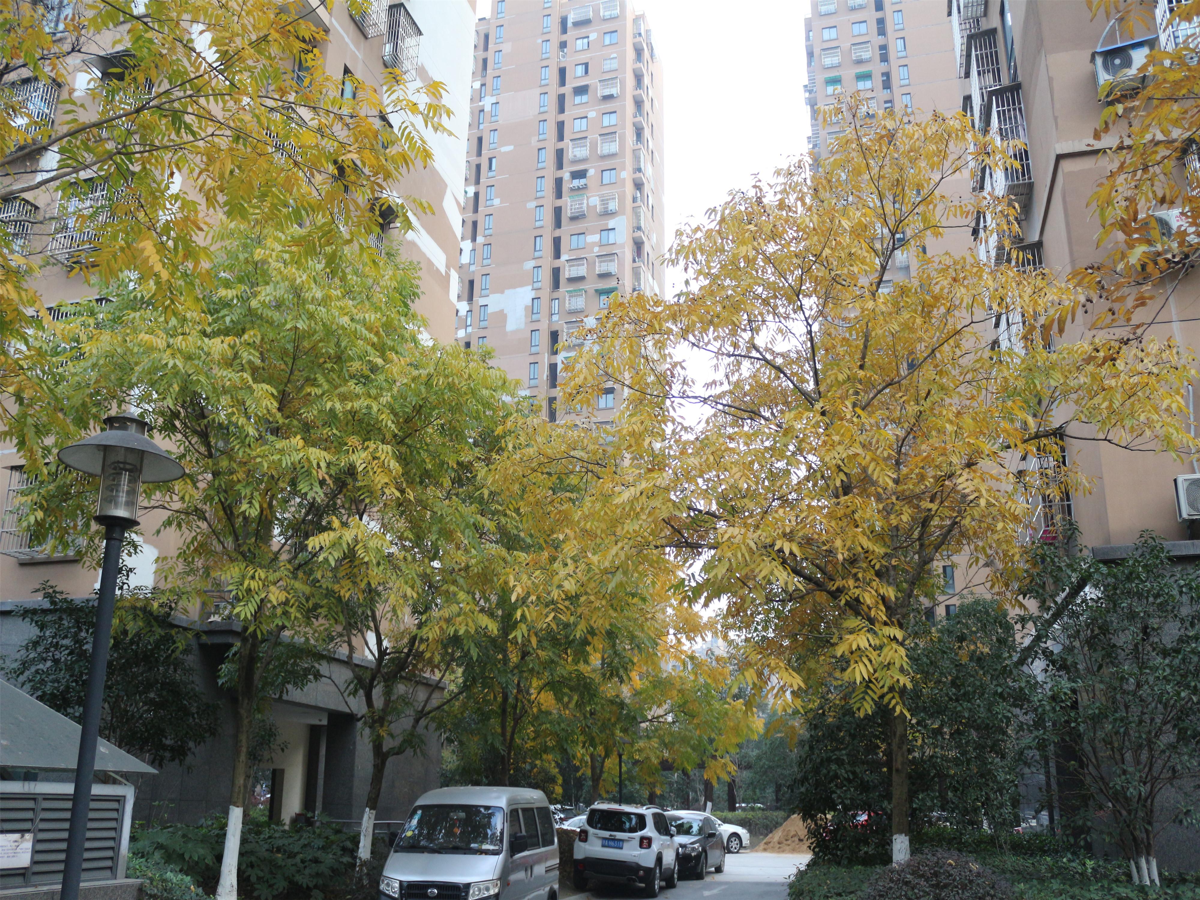 Fangjia Huayuan compound photo 5