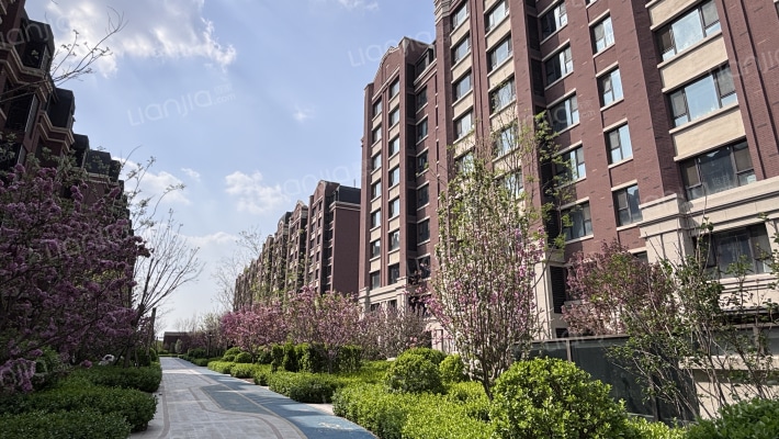 艺墅家酩悦外景图