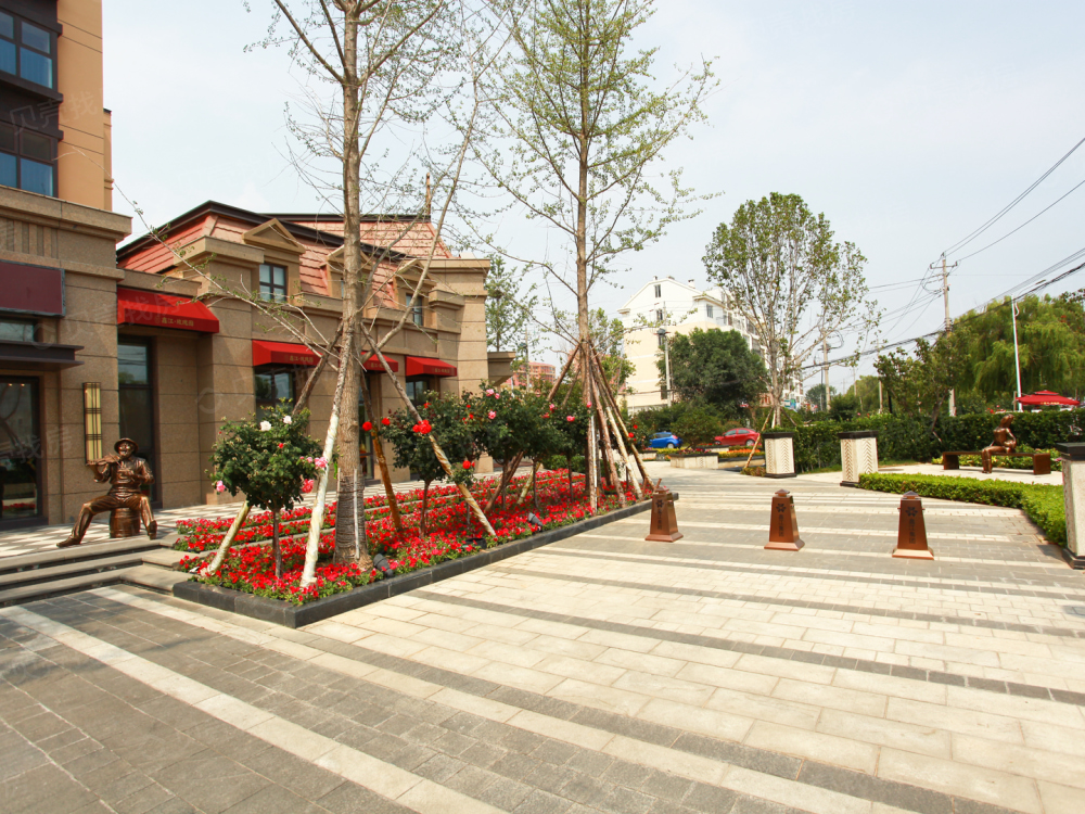 鑫江玫瑰园(花漾里)相册