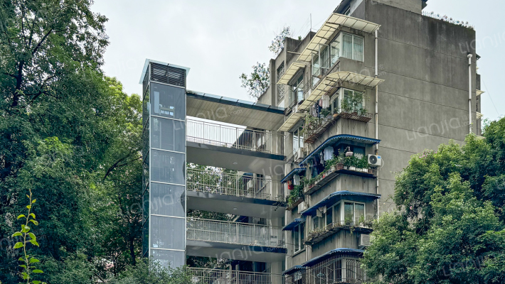 学道街42号外景图