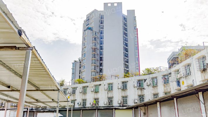 南兴花园(番禺区)外景图