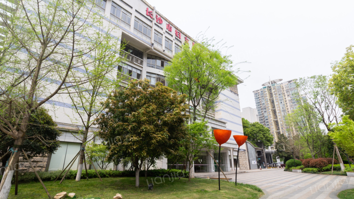 长沙市妇女联合会外景图