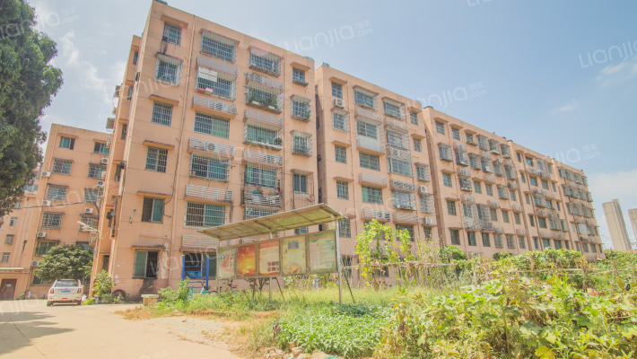 舍里甲社区南漆小区外景图