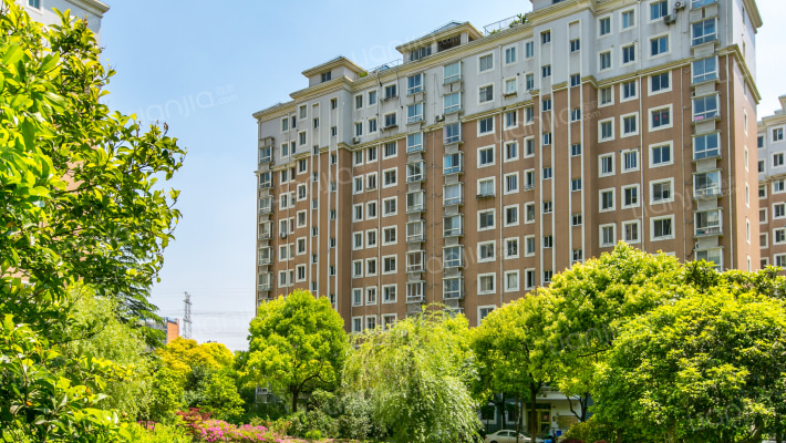 金桥名都外景图