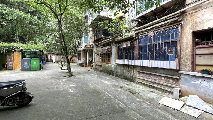 霞晖路二三四号外景图