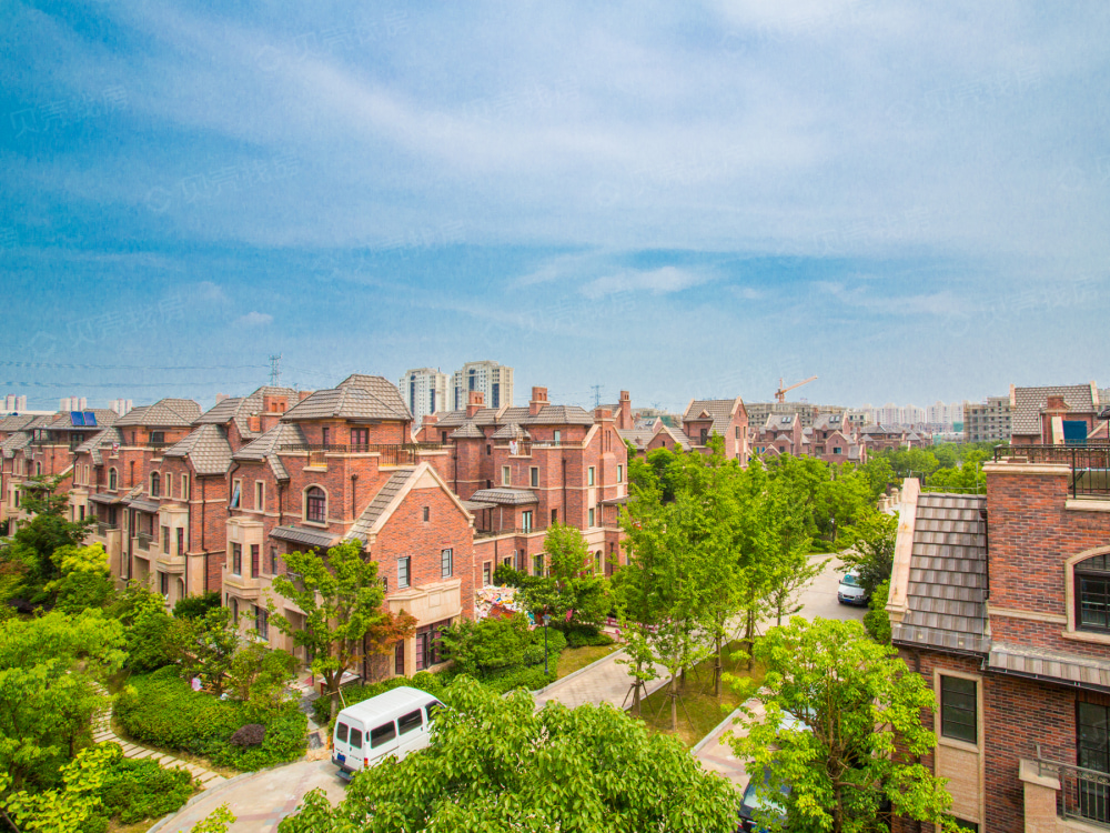 中金海棠湾(公寓)相册