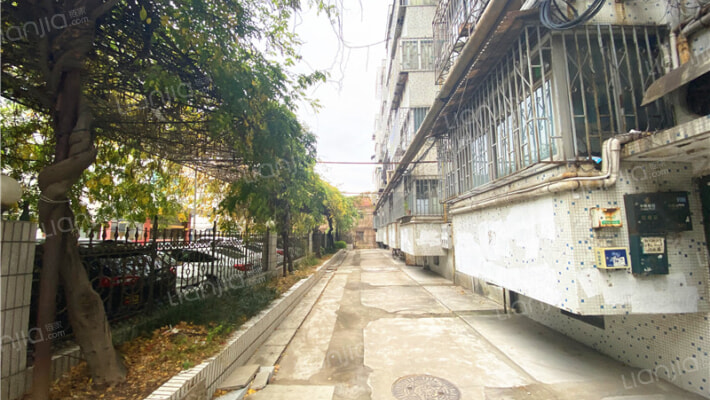 技监局小区外景图