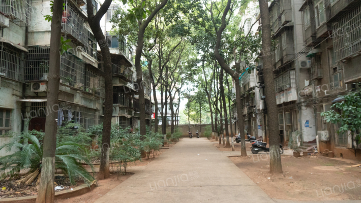 机械大院外景图