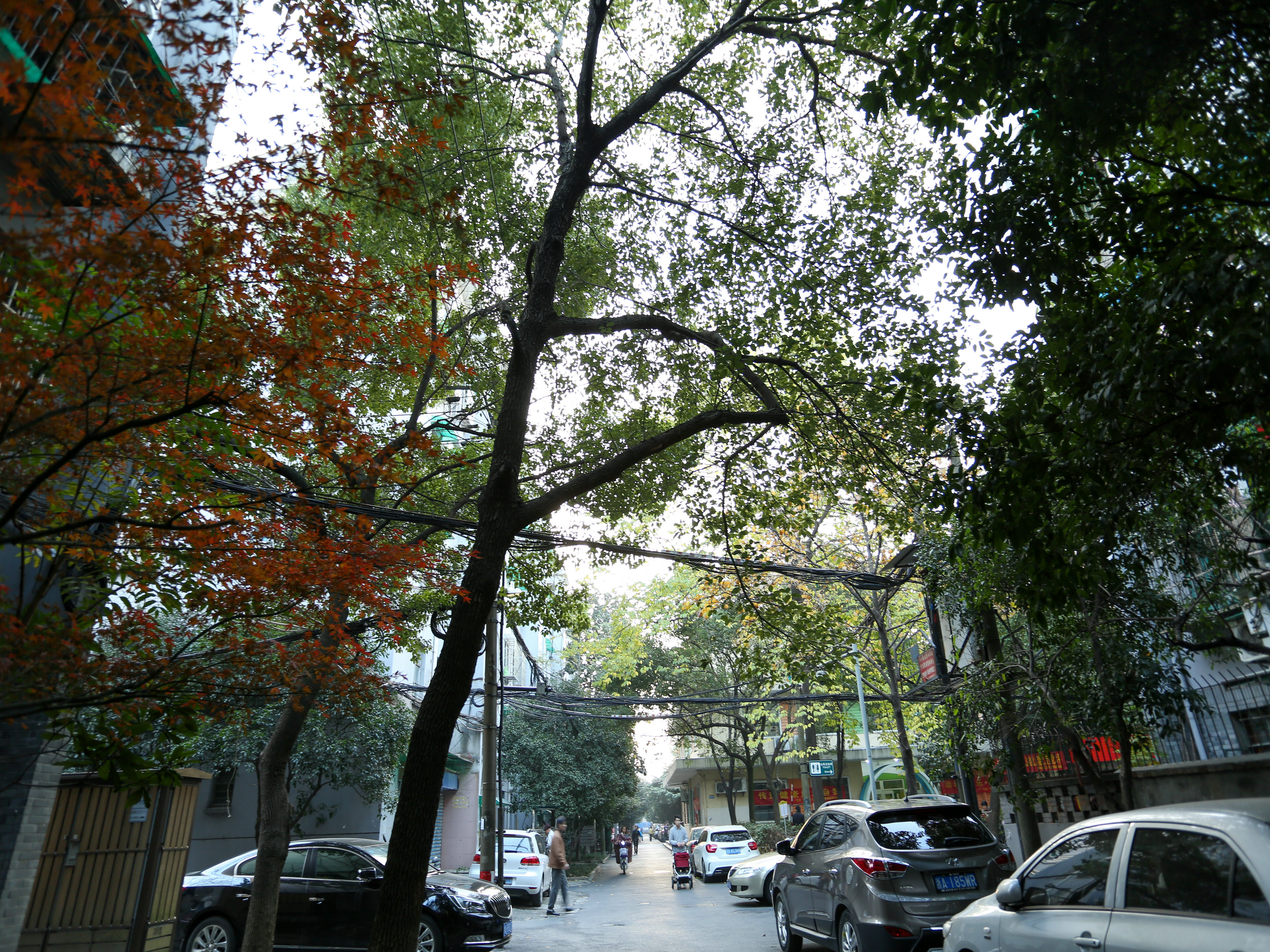 Shihuiqiao Xincun compound photo 20