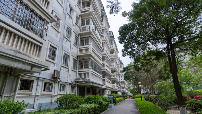 金龙商城二期外景图