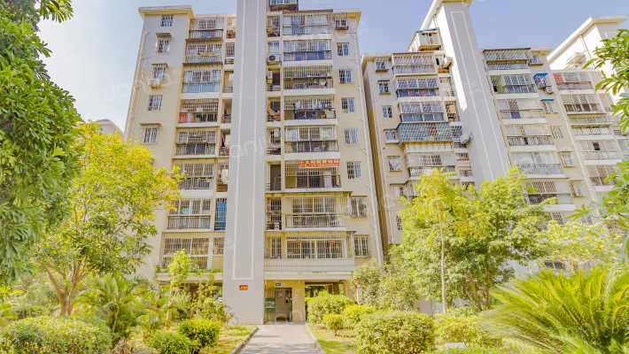 西园温福新苑外景图