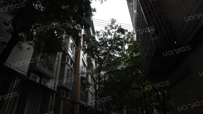 紫苑学府外景图