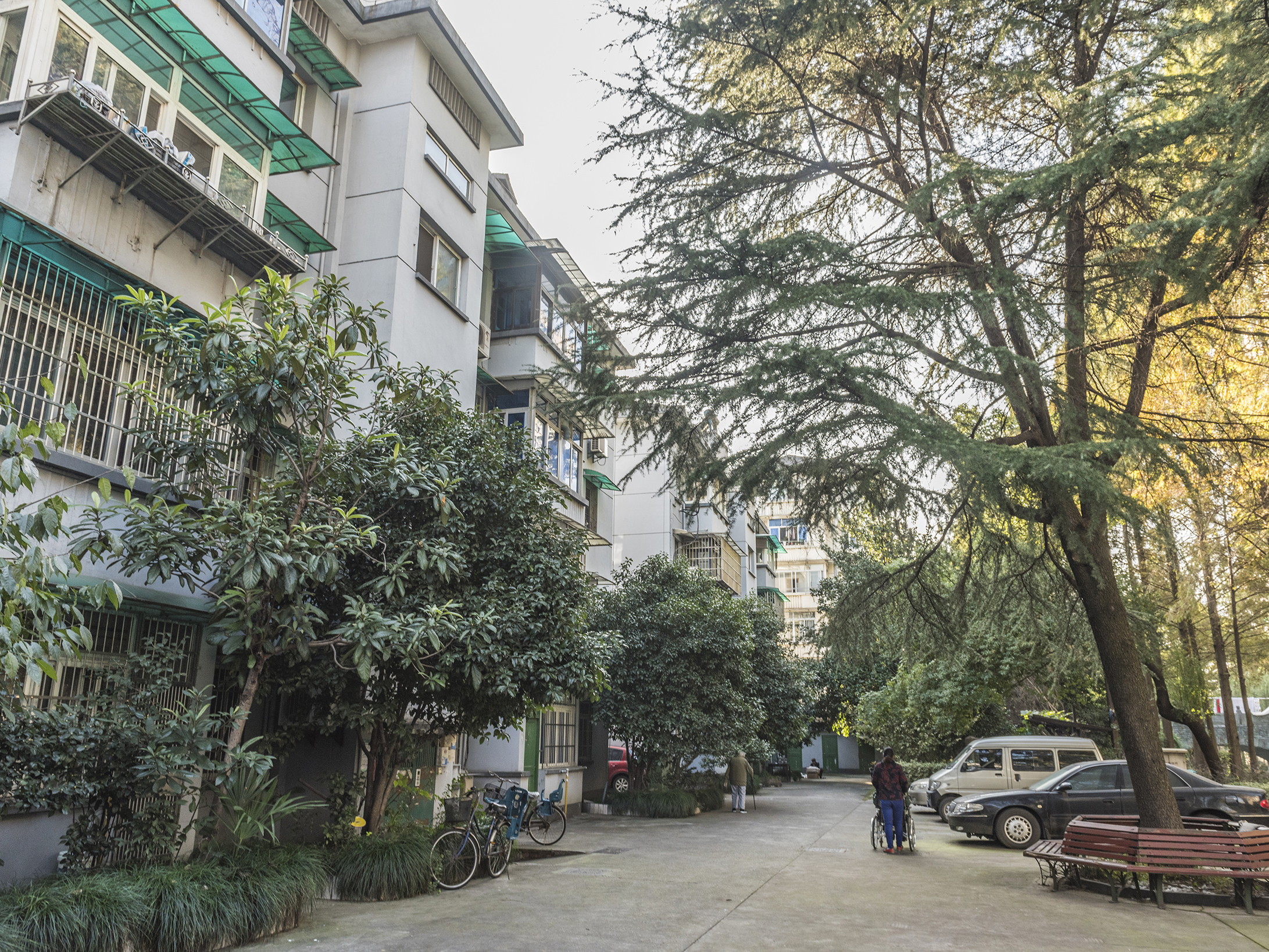 庆丰新村小区实景 14