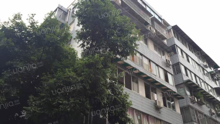 芳草东街54号外景图