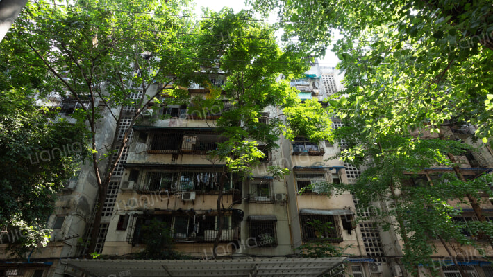 石人正街29号外景图