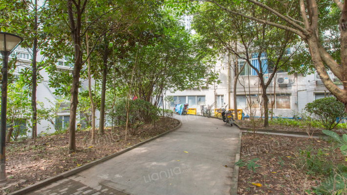 兰亭印象外景图