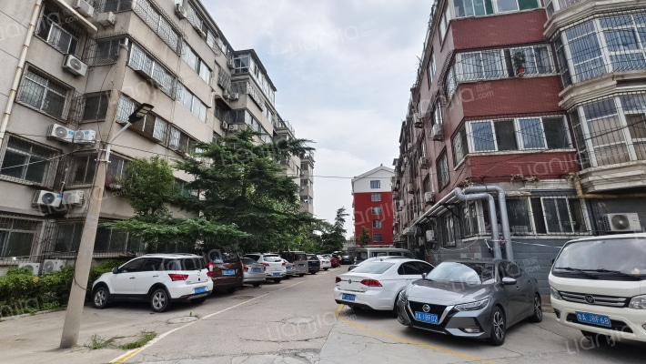 华山镇建委三宿舍外景图