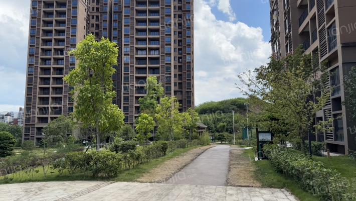 星海家园外景图