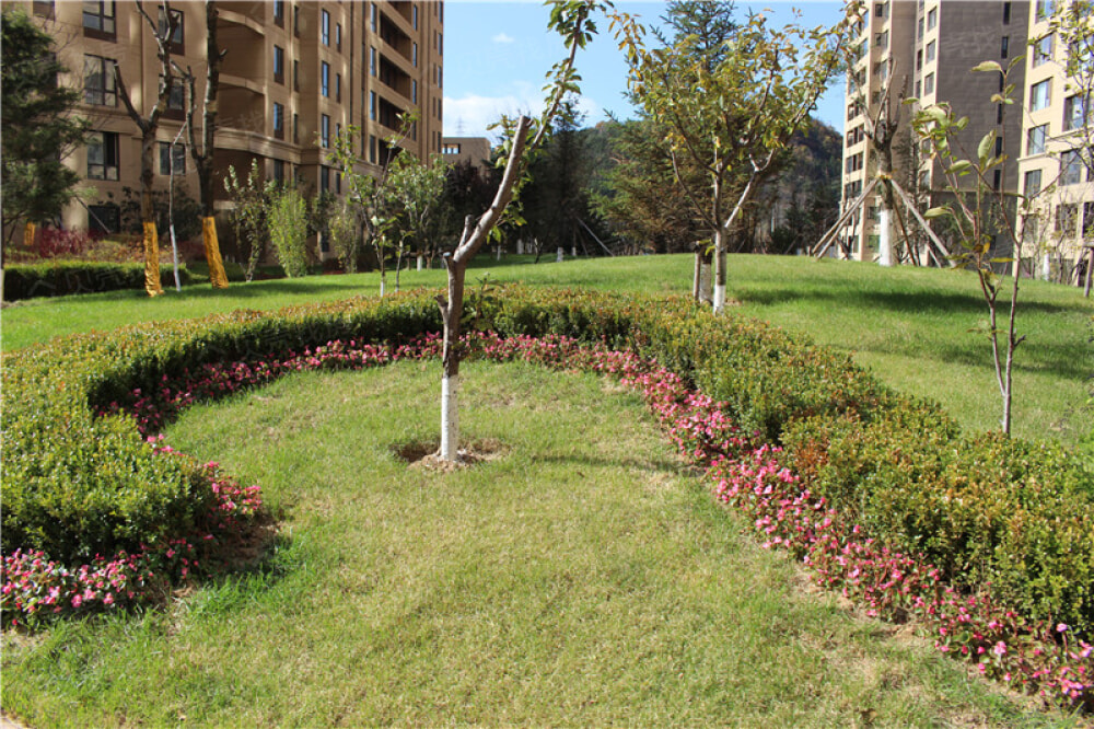 【万科樱花园三期_杭州万科樱花园三期楼盘】房价,户型,开盘时间详情