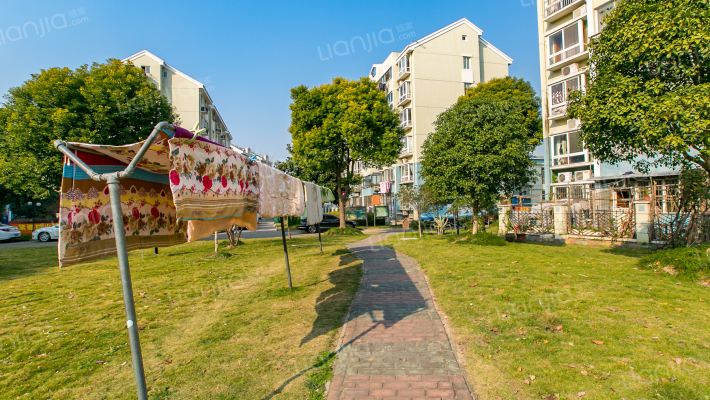 古桐四村外景图