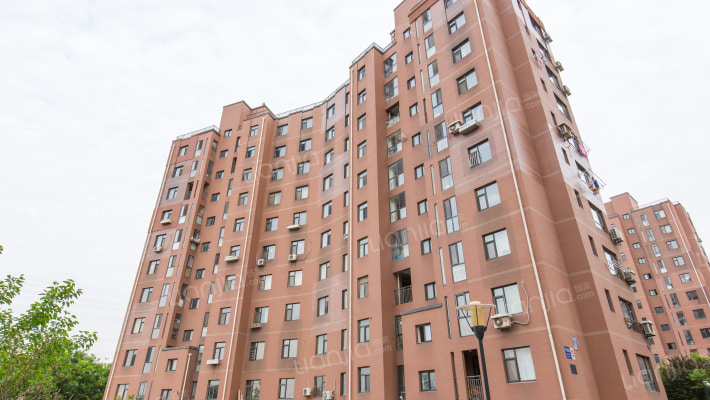 玉树临居外景图