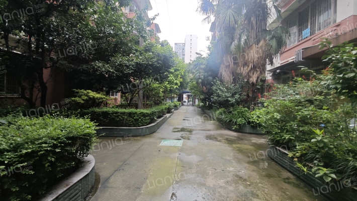 玉林一巷14号外景图