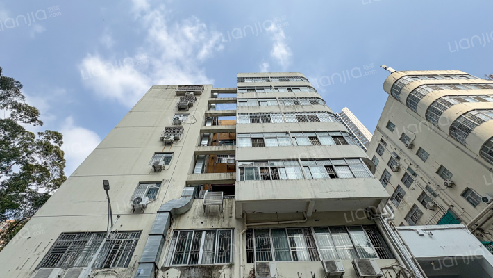 沙头角城管综合楼外景图