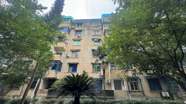 财政局家属区外景图