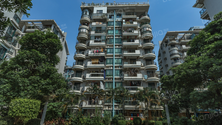 南国金辉外景图