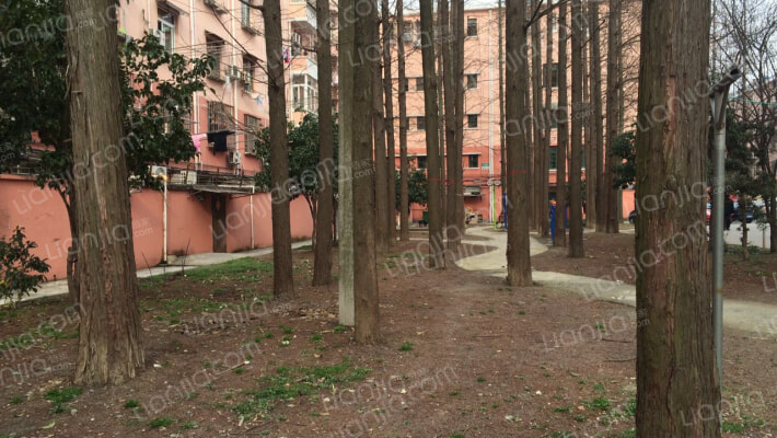 江川路291弄外景图