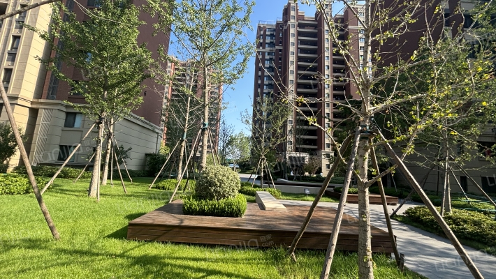 青特小镇公园里外景图