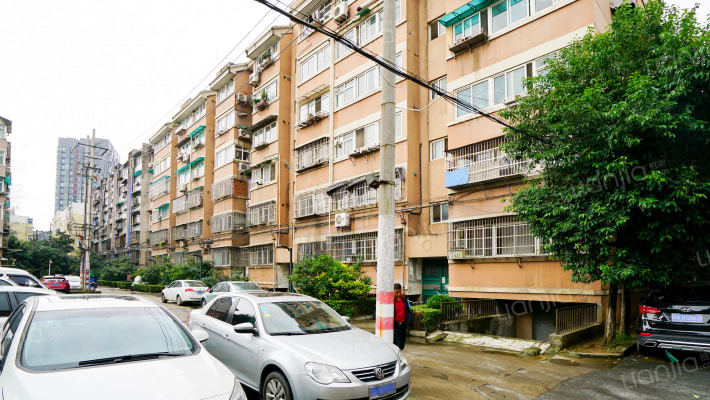 东井村2号外景图