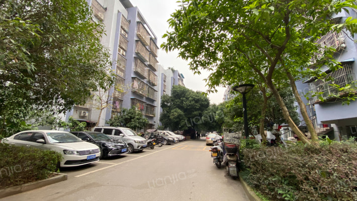 中环新港外景图