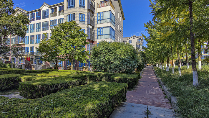 郁金香舍外景图